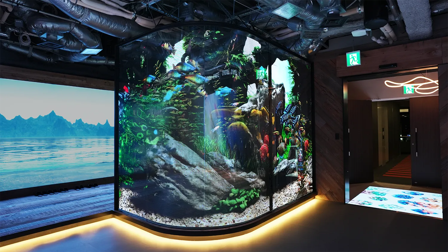 実際に見て触れることができる