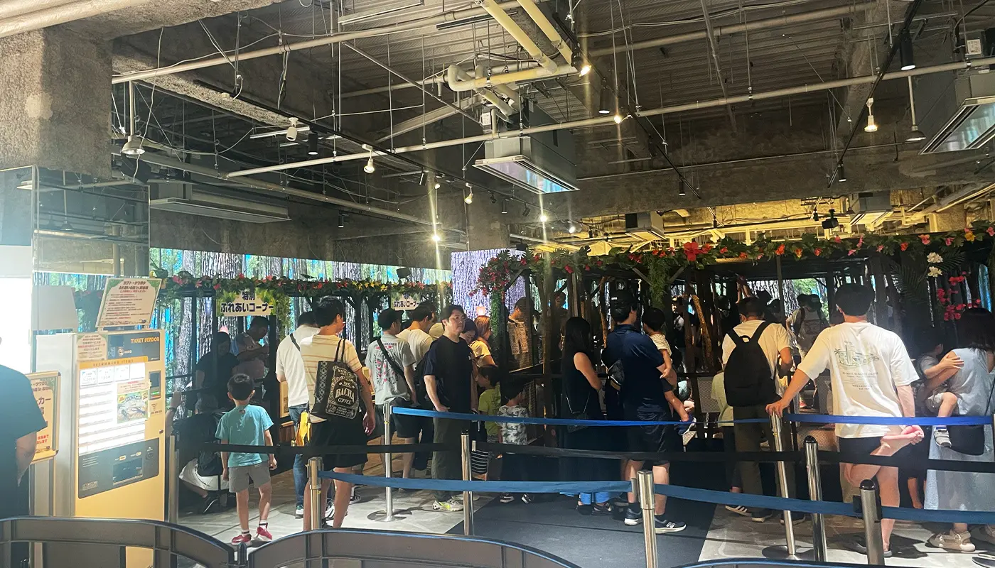 カブト・クワガタ ふれあいの森 in お台場 2025