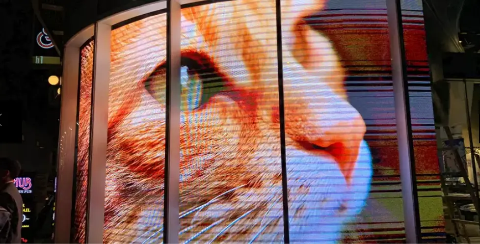 THE AKIHABARA CONTAiNER / MITSUBA VISION AKIHABARA