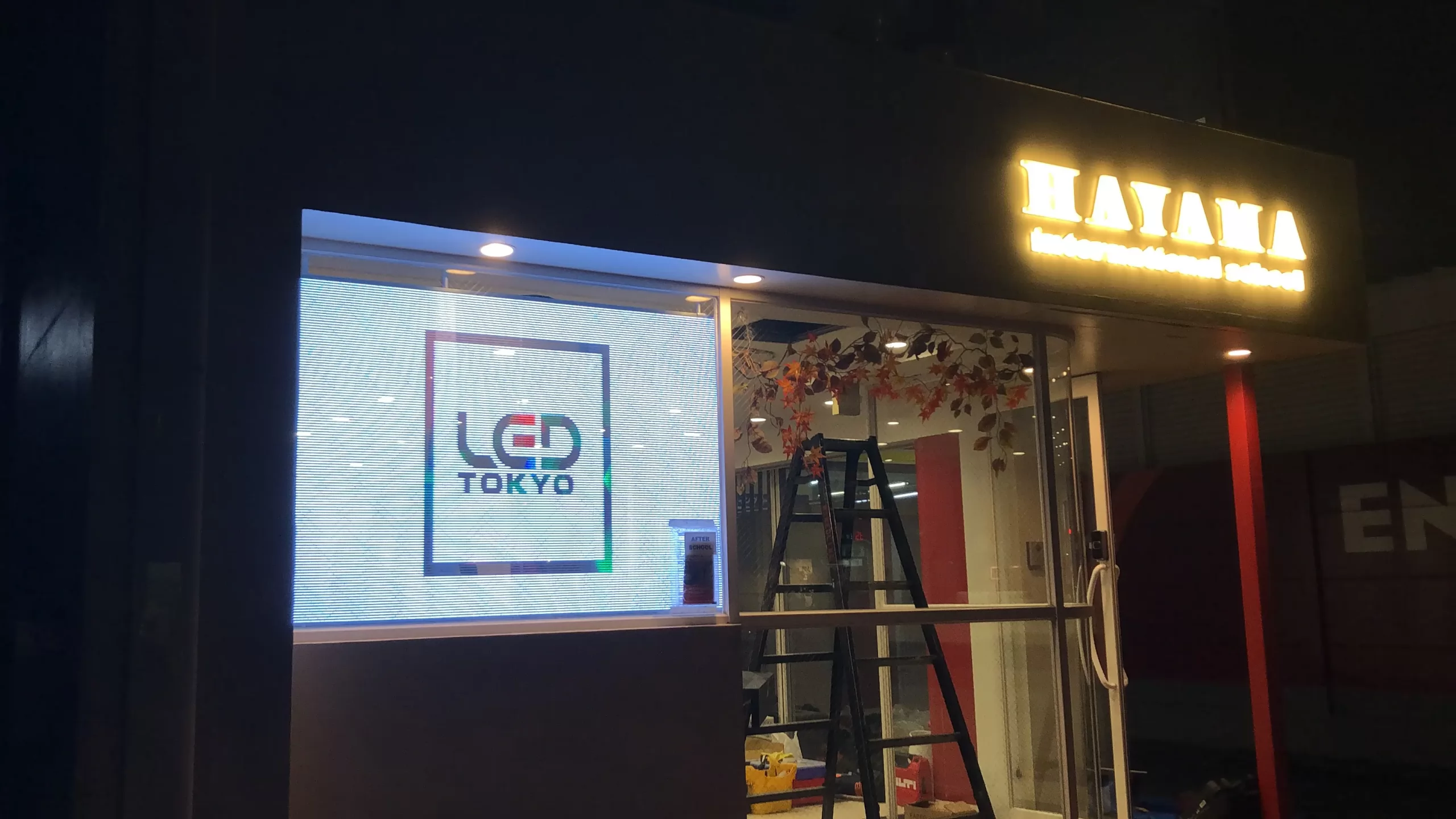 HAYAMA INTERNATIONAL SCHOOL/東京都港区白金台