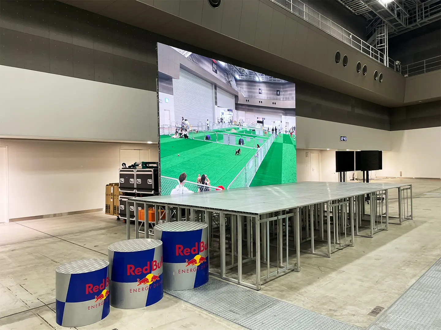 dogoh_ドッグラン放映の様子