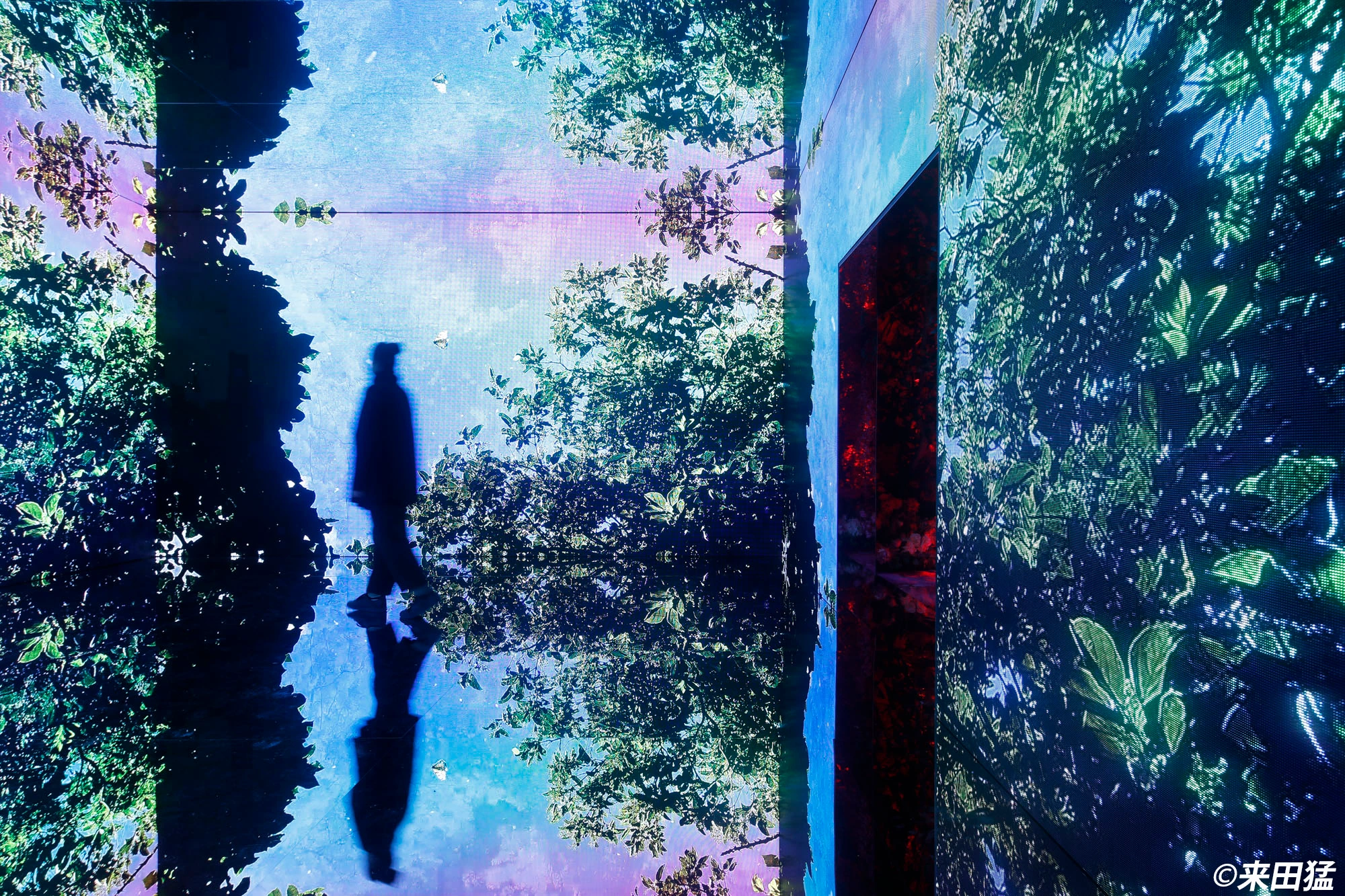 蜷川実花展 with EiM:彼岸の光、此岸の影①