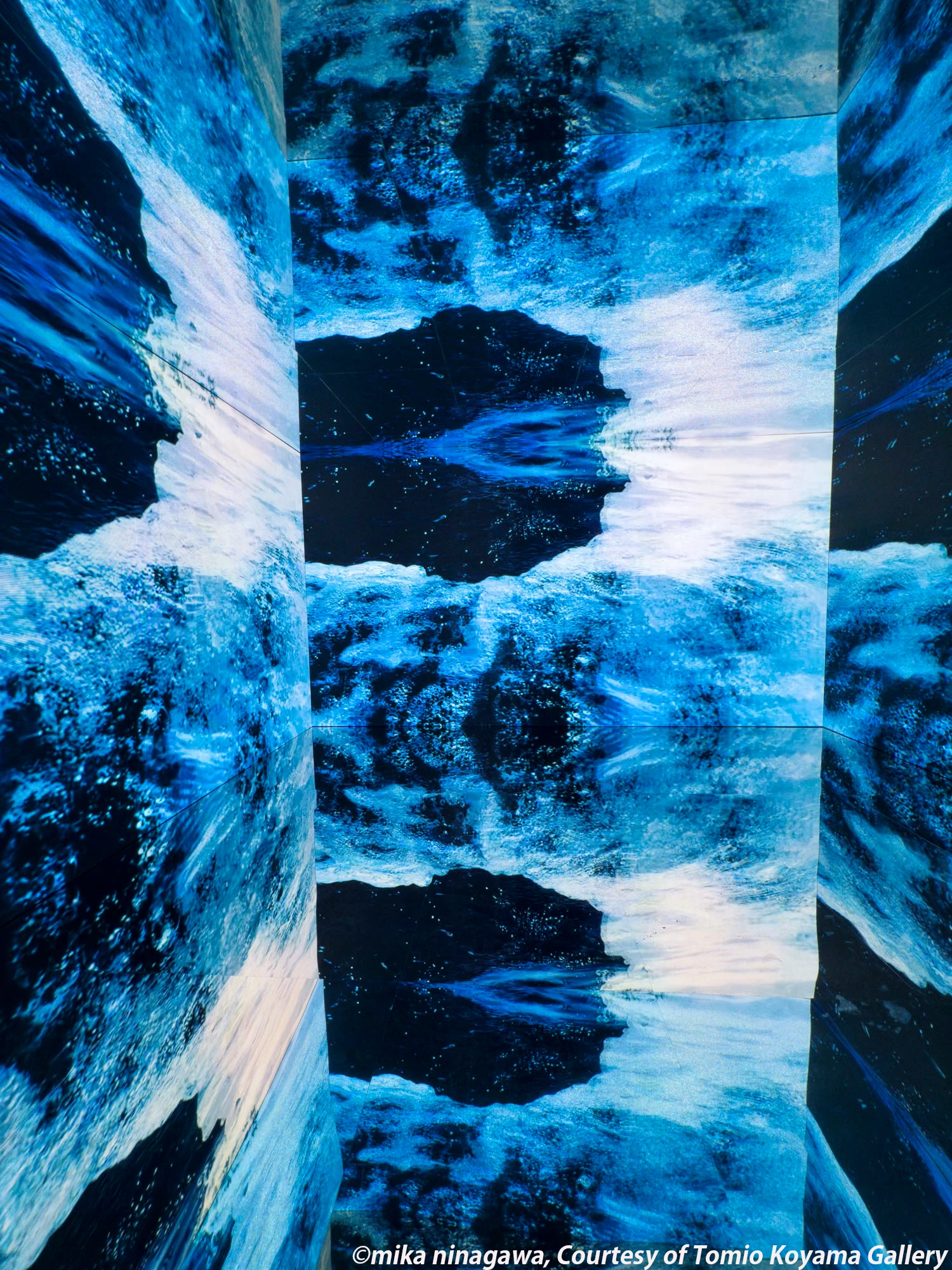 蜷川実花展 with EiM：彼岸の光、此岸の影③